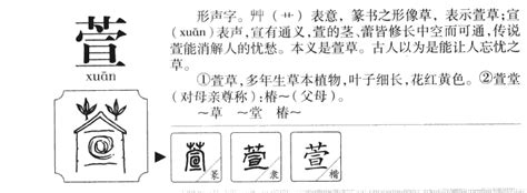 萱的五行|萱字五行属什么